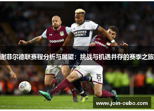 谢菲尔德联赛程分析与展望：挑战与机遇并存的赛季之旅